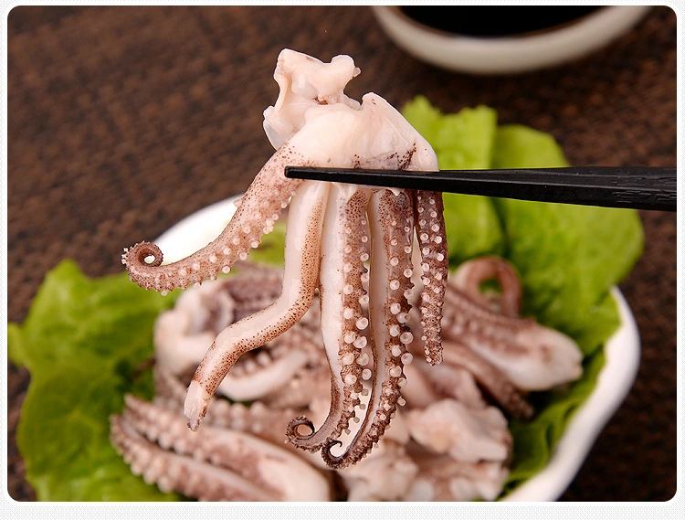 Frozen Squid Tentacle/Calamari/Calamar/Calmar/Pota