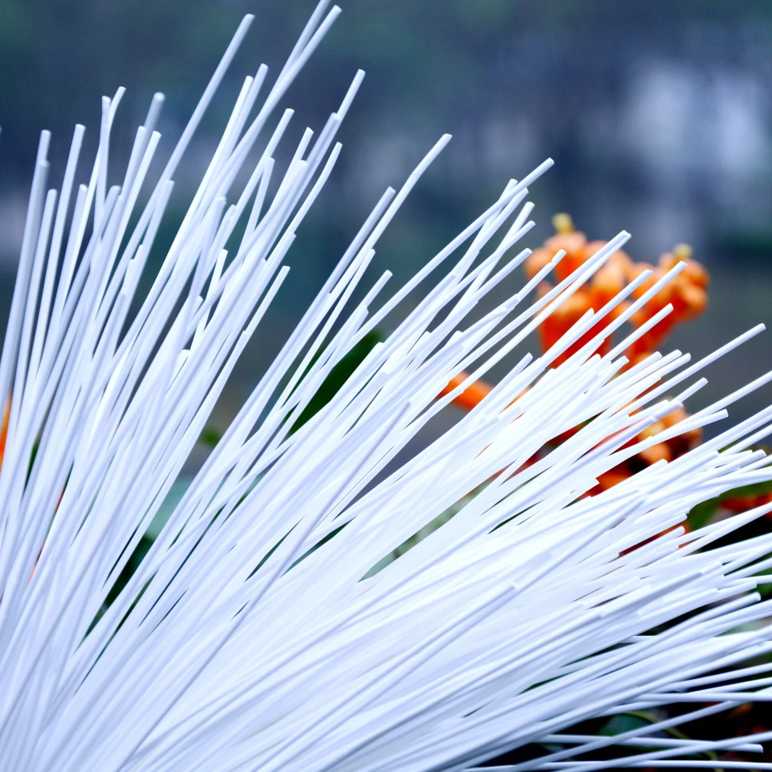 Suntar PVDF Filtre à membrane UF pressurisé à fibres creuses de l'extérieur vers l'intérieur.