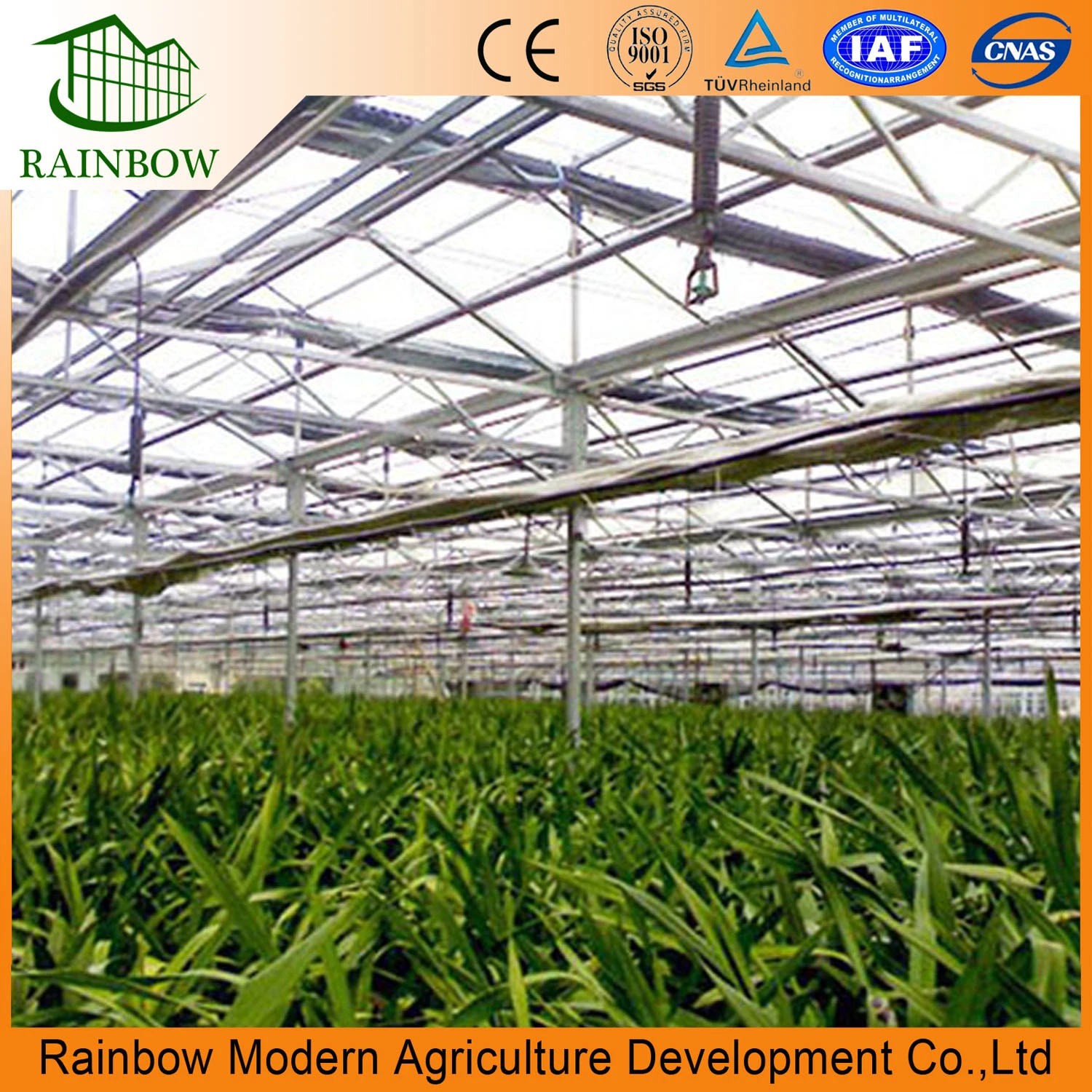 Film Greenhouse Irrigation System