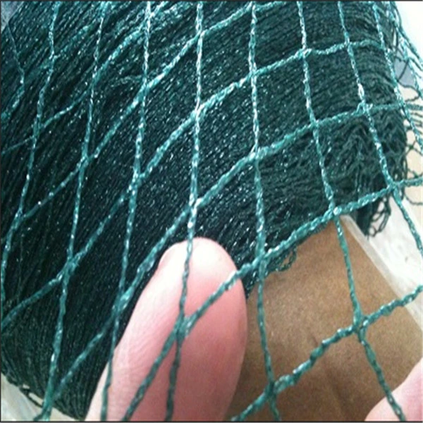 100% HDPE Agricultural Anti Bird Netting for Greenhouse