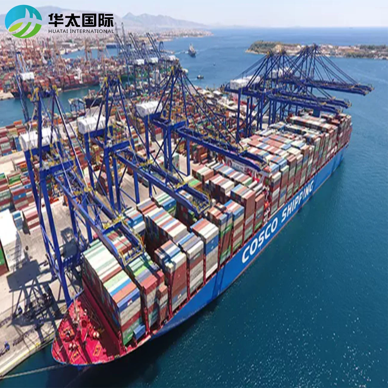 Despachante de carga da China para o Senegal International Logistics Sea Transporte FCL/LCL de carga