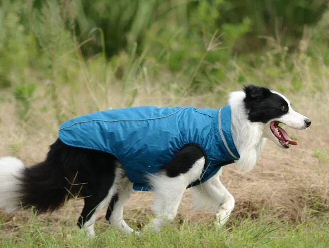 Ropa de mascota perro Coldproof cálido abrigo prendas de vestir ropa al aire libre