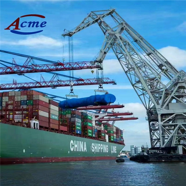 China Best Shipping Agent Service