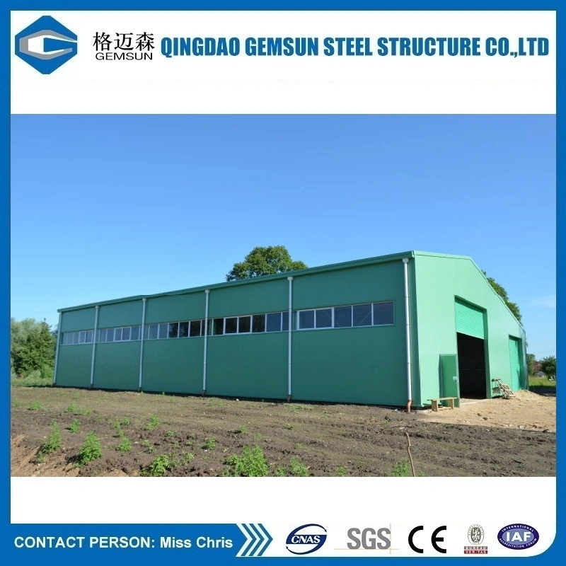 Steel Structural Workshop Factory Warehouse/Steel Frame/Steel Structures