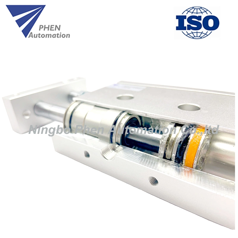 Phen Cxs Series JIS Double Shaft Dual Rod Air Cylinder Double Acting with Magnet Two-Rod Pneumatic Cylinder