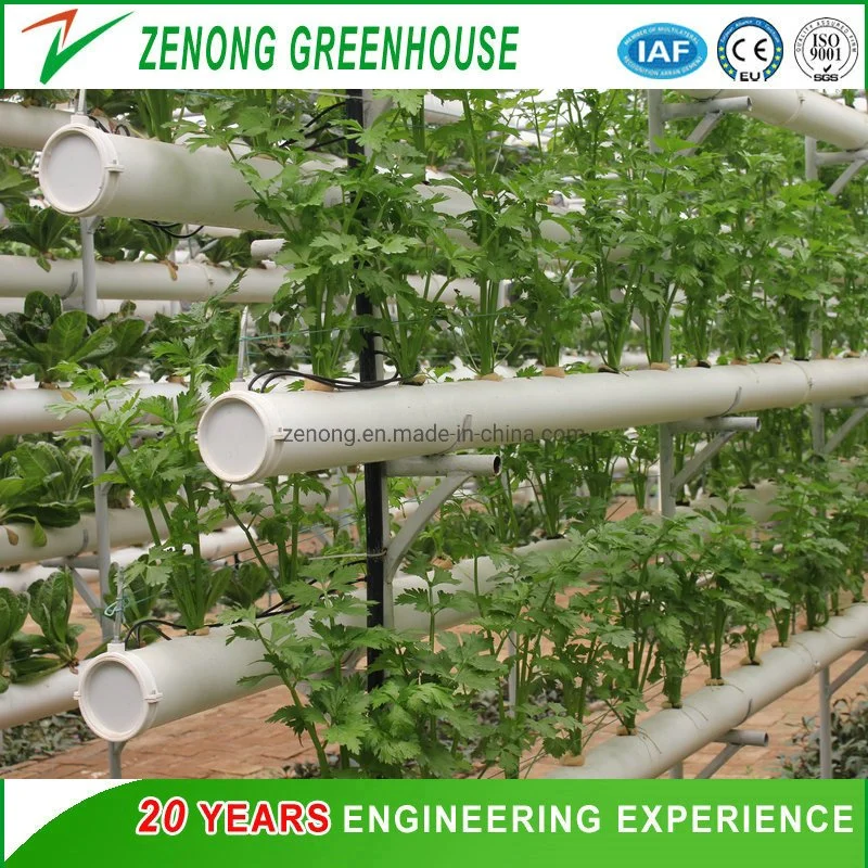 Vertical Dwc Hydroponic Channel System in Greenhouse and Farm Nft Channels for Hydroponics Growing