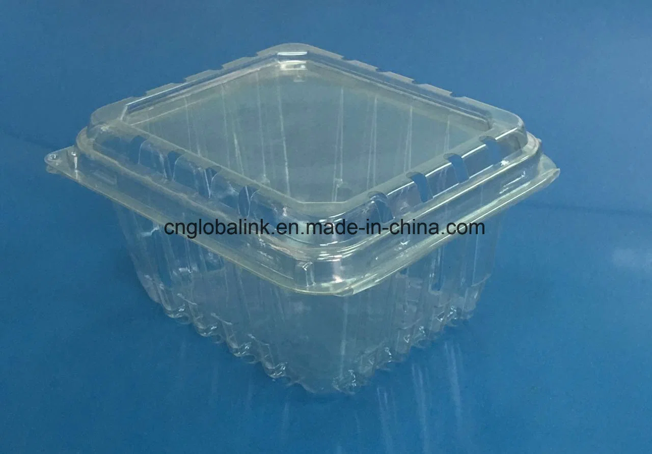 Food Grade Plastic Fruit Packaging Container for Tomatoes 250 Grams FDA Approvel