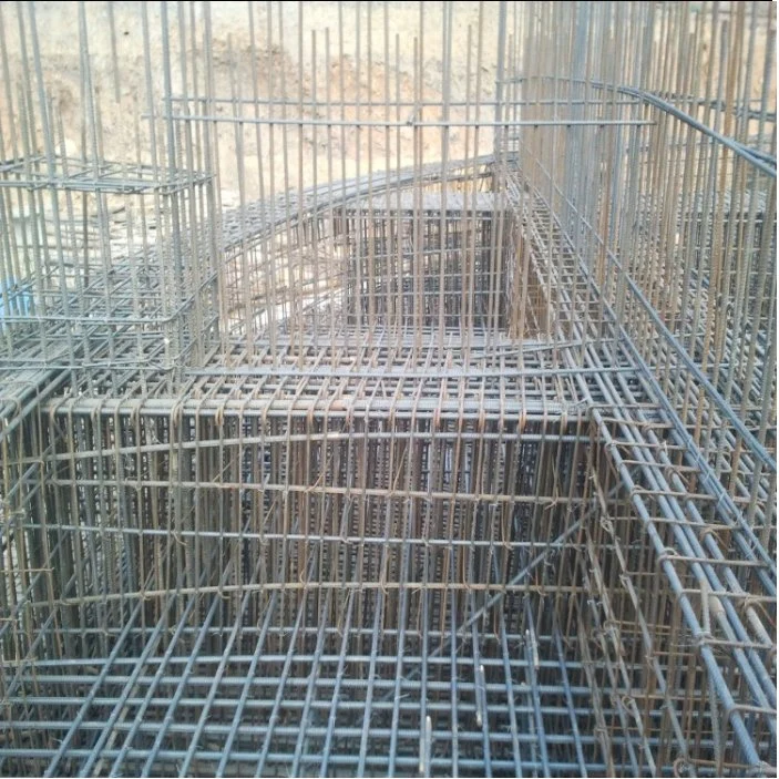 Bird Cage Panels Farm Fence Iron Wire Fencing 1X2 Welded Wire Mesh Panel