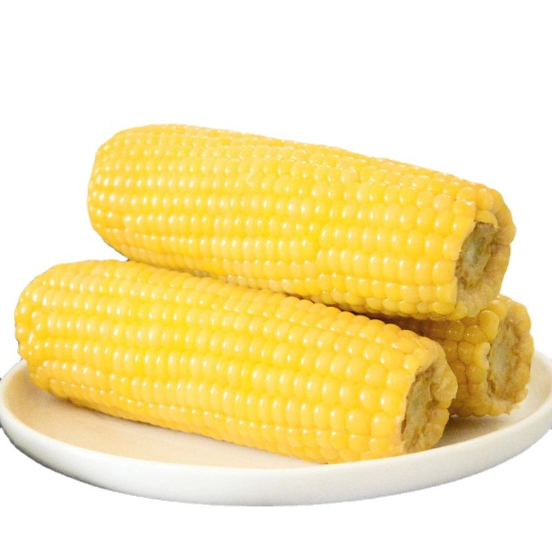 IQF Frozen White Glutinous Sweet Corn Non-GMO Cooked Sweet White Corn