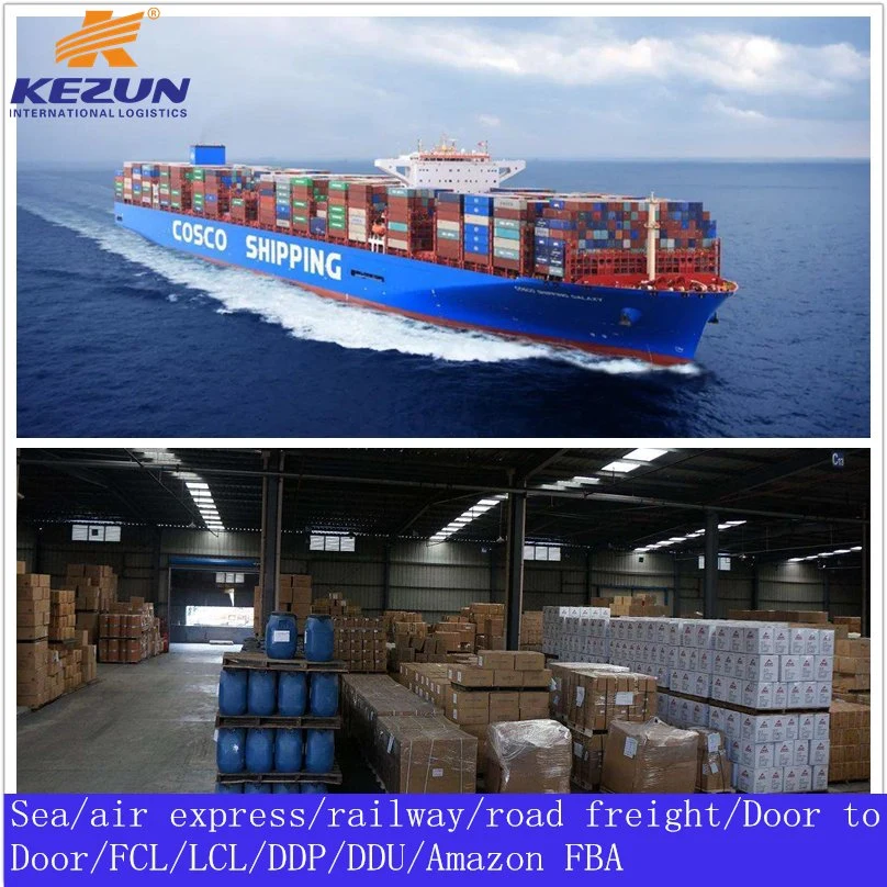 Door to Door Sea Freight Shipping Agent From China to Dubai Kuwait Best Shipping Price