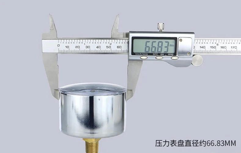 Industry Anti-Corrosion Stainless Steel Ye60z Capsule Pressure Gauge Top Quality