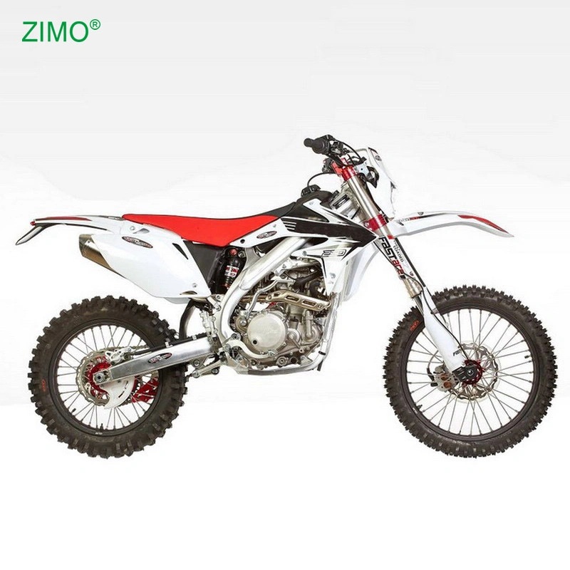 Popular Sport 450cc 12V Gas Fuel Systems Motorbike Dirt Bike