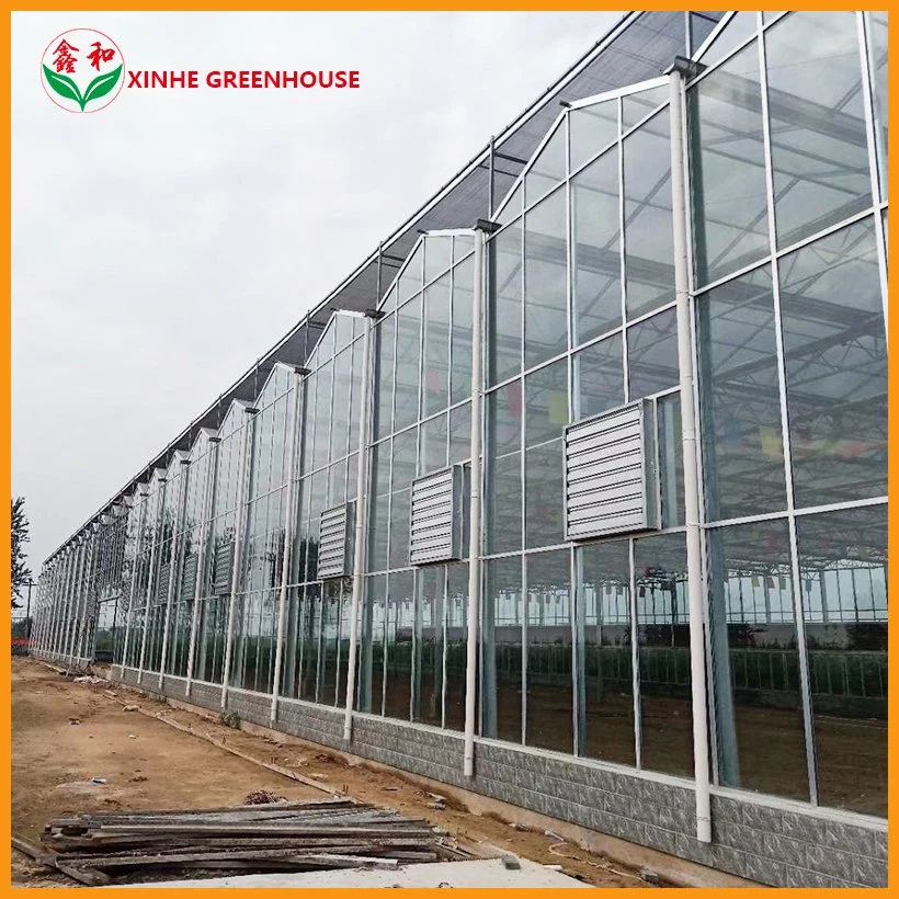 Agricultura / Comércio Multi Span Toughe vidro Green House para vegetais / Flores / frutas com Sistema completo/sistemas hidropôônicos/sistema de irrigação automática