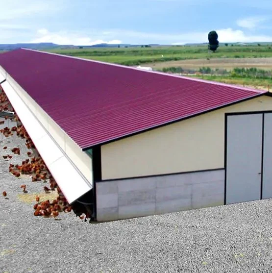 Factory Galvanized Manufacturing and Processing of Steel Poultry Houses