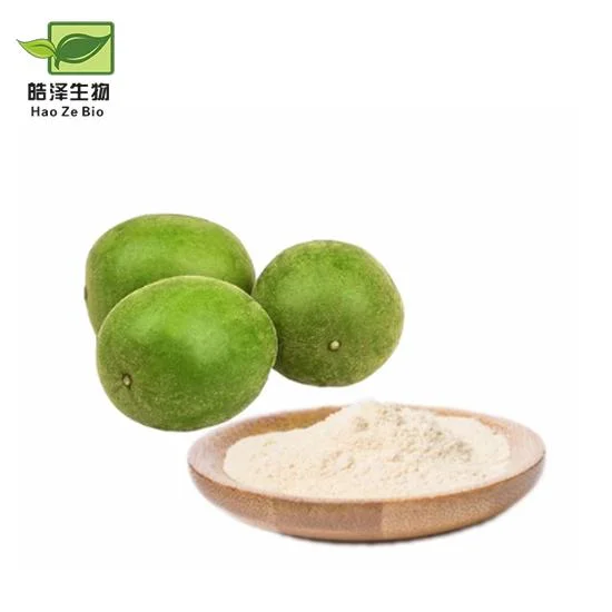 Natural Sweetner Monk Fruit Extract 20%25%50%70% Mogroside V Luo Han Guo Extract Monk Fruit Powder Monk Fruit Concentrate Juice Herbal Extract Monk