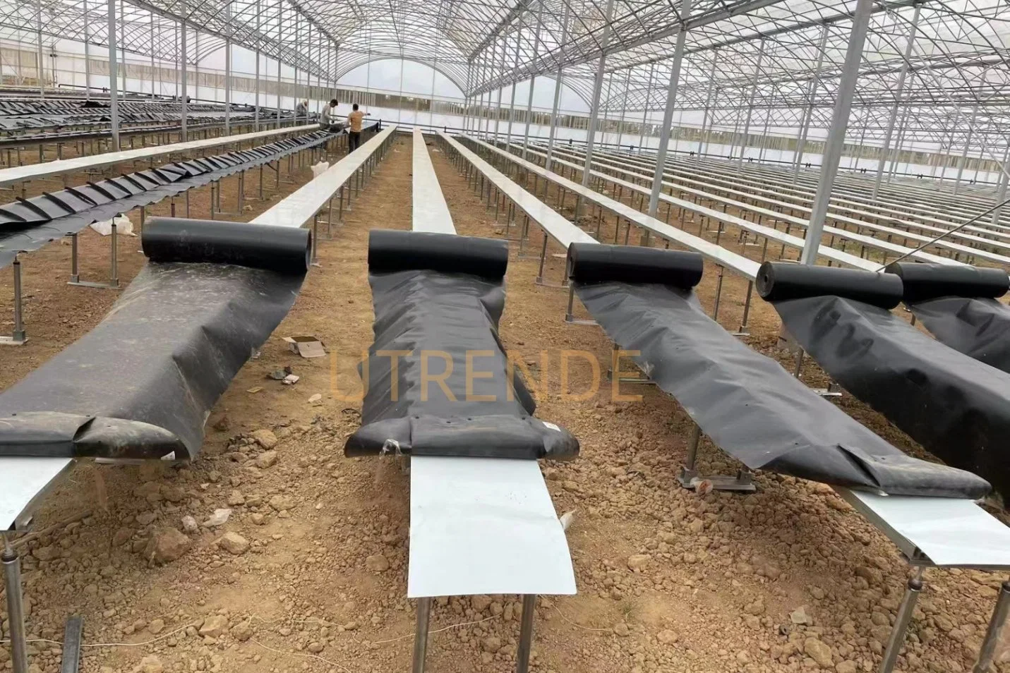 Agriculture Greenhouse PP PE Hydroponic Seeding Planting Growing Gutter