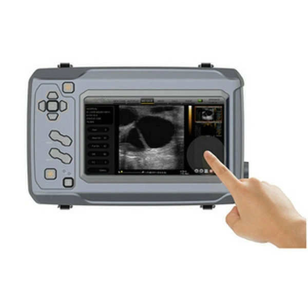 BS6 mv Цифровое портативное ветеринарное ультразвуковое устройство для ветеринарного сканера Dairy Cow, Bovine и Equine