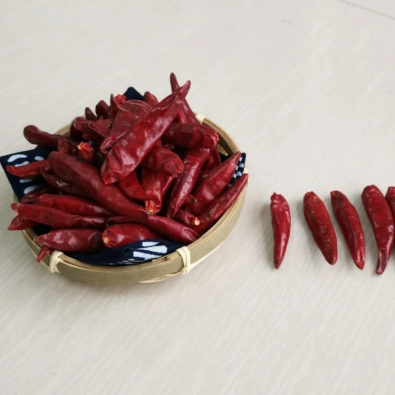 Hot Capsicum Chilli Pepper Dry Red Paprika / Sangying Chili / Yidu Chilli / Xinglong
