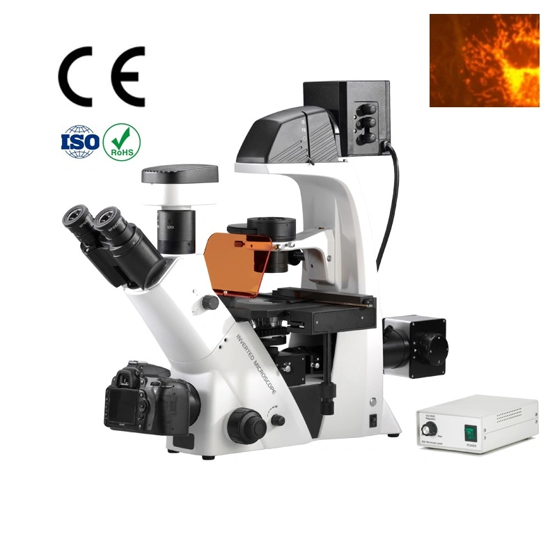 Biological Laboratory Professional Fluorescence Microscope Used in Scientific Research Bds Series