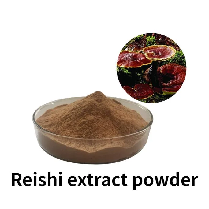 Organic Reishi Mushroom Lingzhi Ganoderma Lucidum Mushroom Powder Ganoderma Mushroom Extract as Adaptogen Mushroom Coffee