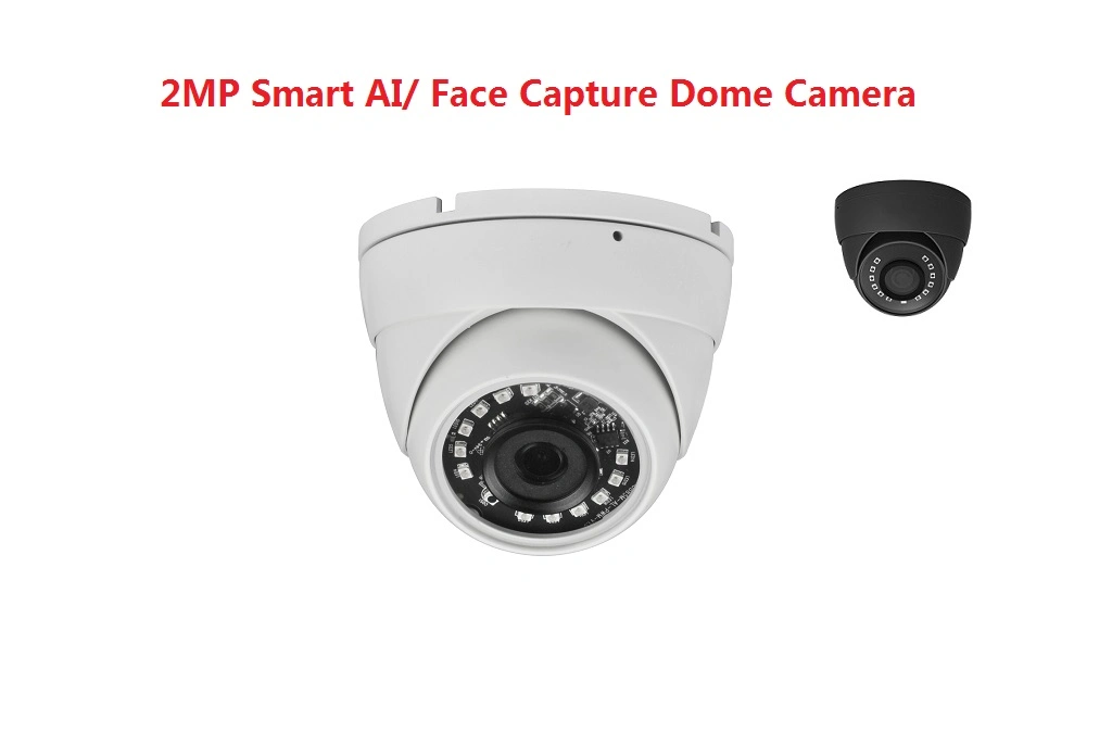 Fsan 2MP Infrared Outdoor Waterproof HD Network Metal Dome IP Camera