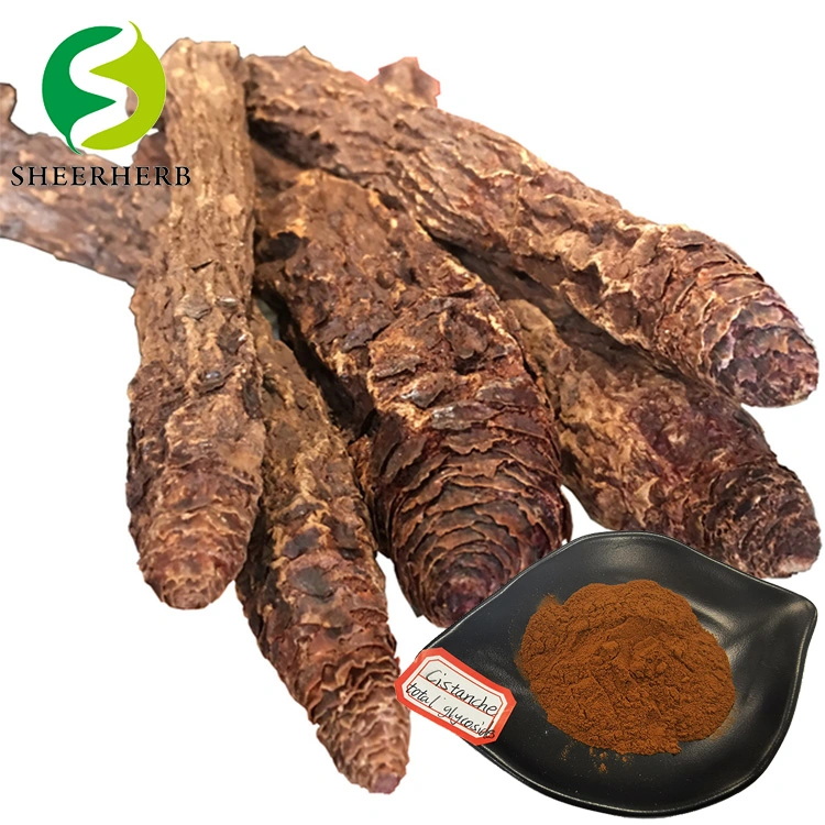 Factory Supplier Fadogia Agrestis Extract Powder 10 1 Fadogia Agrestis Extract Capsules