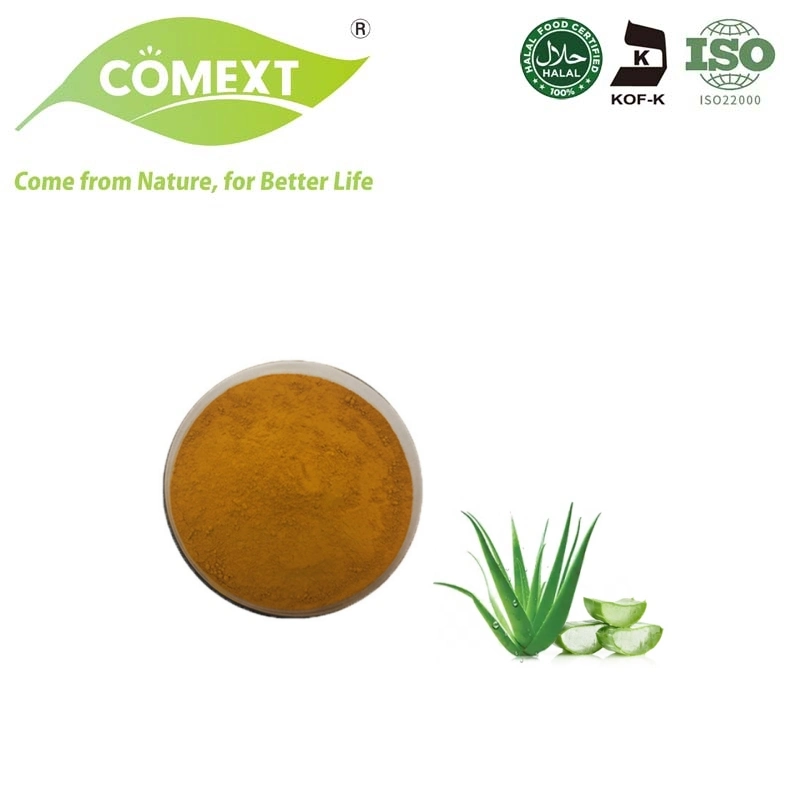 Comext buena calidad planta pura saludable Bienestar femenino Aloe Vera Extraer