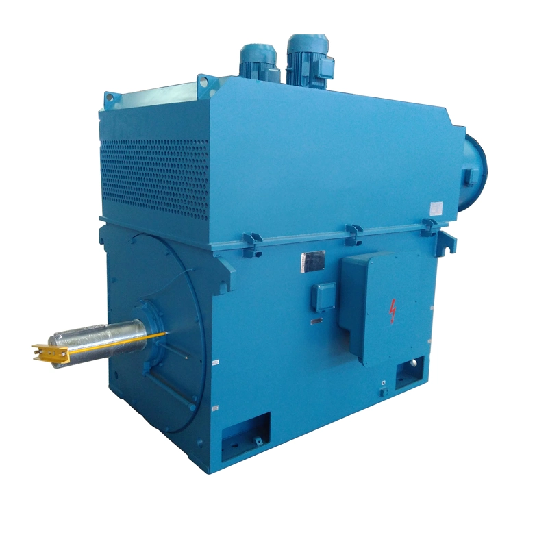 High Voltage Squirrel Cage Variable Frequency Motor for Fans, Pumps and Compressors