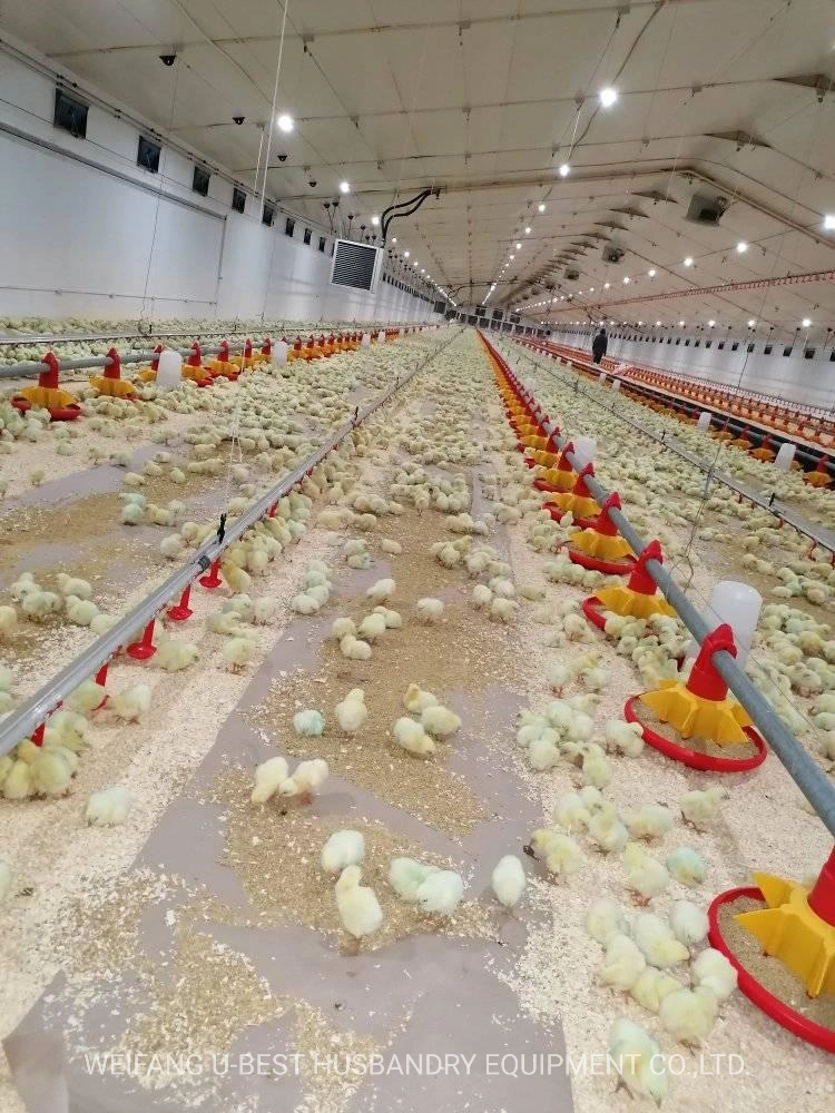 Granja avícola automática de equipos para Control de Broiler arrojar