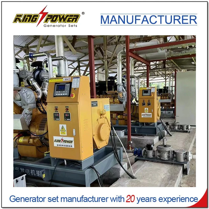 160kw Professional Supplier of Silent Natural Gas CNG LPG Generator