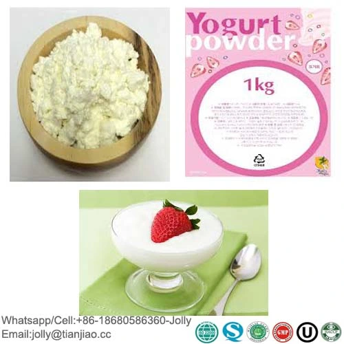 Instant Yogurt Cheese Powder for Yogurt Ice Cream