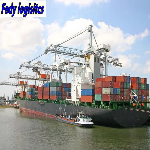 The Cheapest Shipping Srvice Best Shipping Agent Service DDP DDU Air Ocean/Sea Freight Forwarder From China to Morocco/Agadir,Casablanca,Port Tangier Mediterra