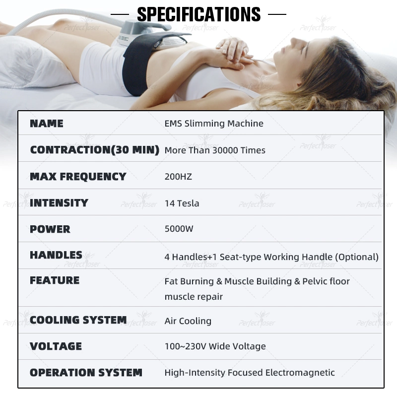 CE/FDA/RoHS Body Shaping EMS Muscle la creación de dispositivos de la máquina