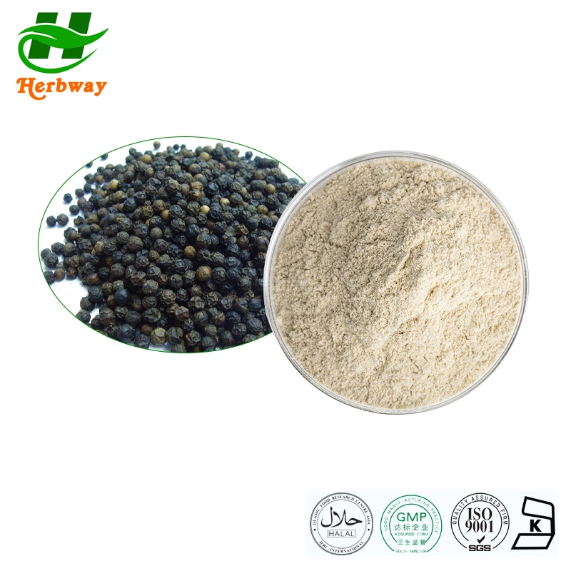 Herbway Chinese Supplier EU Organic Herb Extract Black Pepper Extract Piper Nigrum Extract Powder 95%98%Piperine
