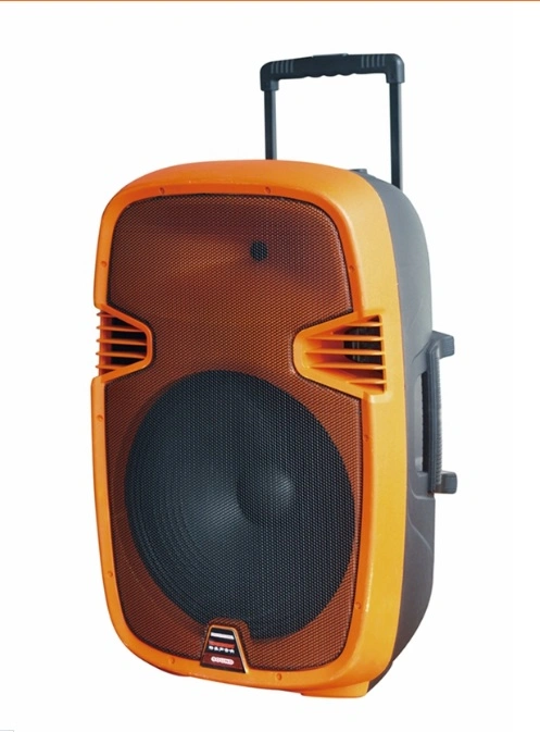 Feiyang/Temeisheng Rechageable Battery Speaker F23 with portable Speaker Function