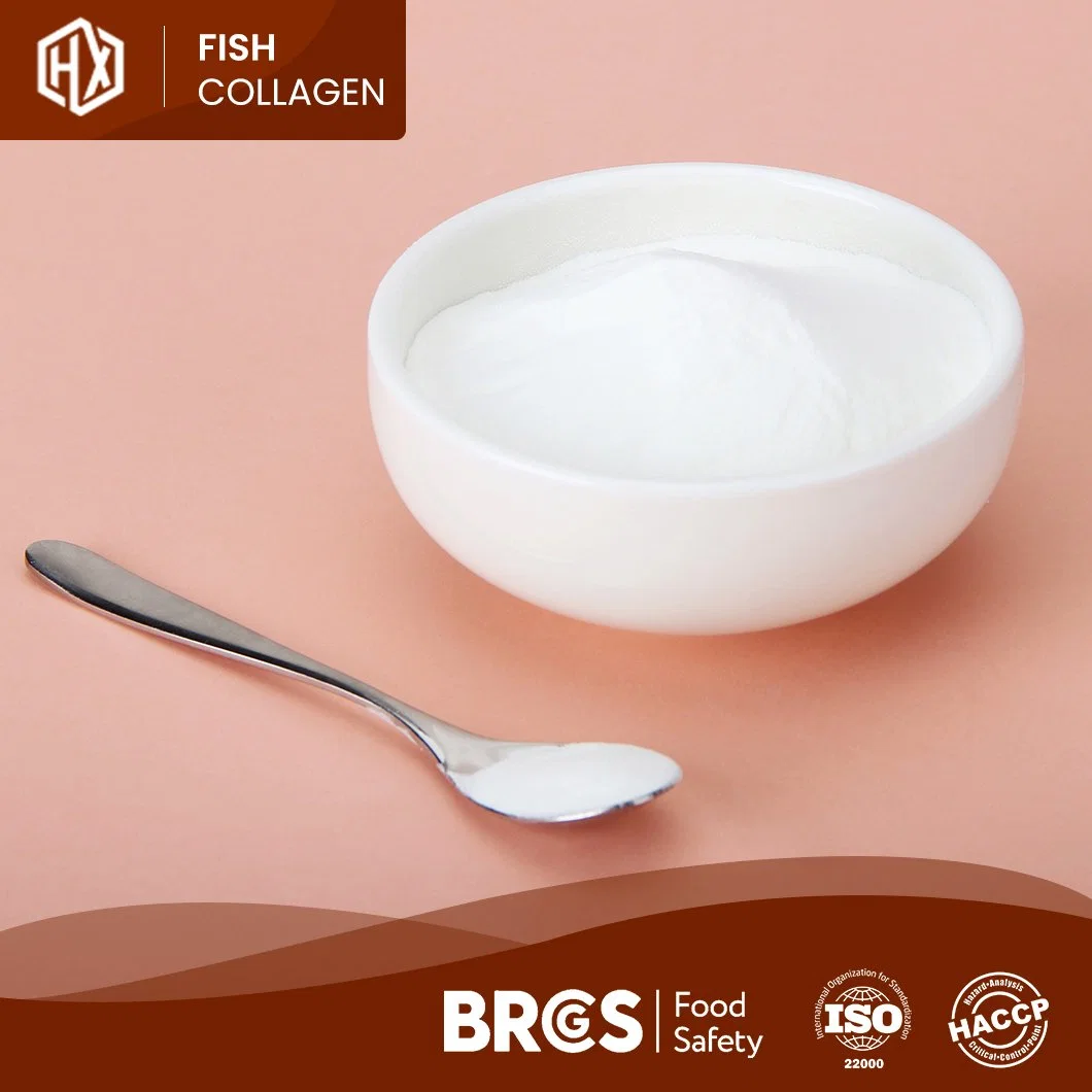 Haoxiang Cheap Price Best Selling Marine Hydrolyzed Collagen Protein Powder Freely Provided Sample China Health Care Tilapia Scale Collagen Peptide Powder