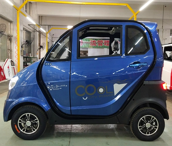 Adult Four-Wheel Enclosed Electric Car Equipped with 1200W Motor 45ah Lead-Acid Battery