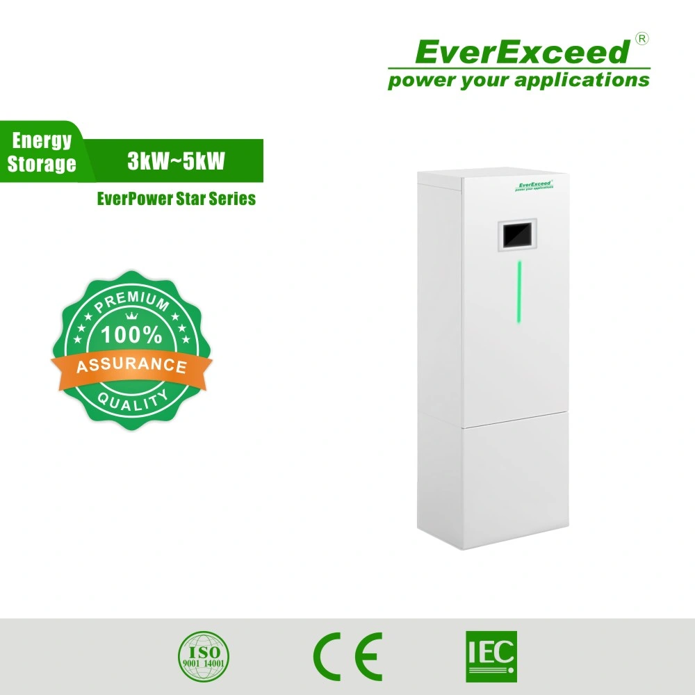 Solutions de stockage d'énergie hybride résidentielle Everpower Series installation en extérieur