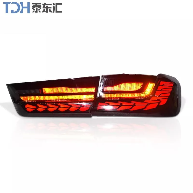 Car Lights for BMW G20 LED Tail Light 3 Series Rear Lamp DRL Stop Brake Animation Start Automotive