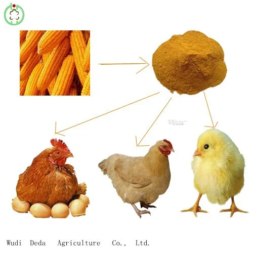 Harina de gluten de maíz harina de proteína de la alimentación animal