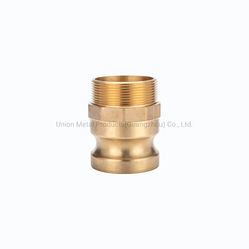 Brass Dust Cap Rubber Hose Fitting Cam Groove Coupling Type DC