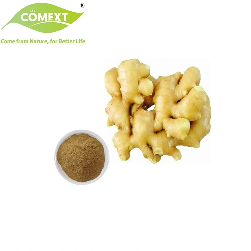 Comext Original Factory Hot Selling Stomachic Antioxidant Ginger Gingerols Extract Powder for Functional Food