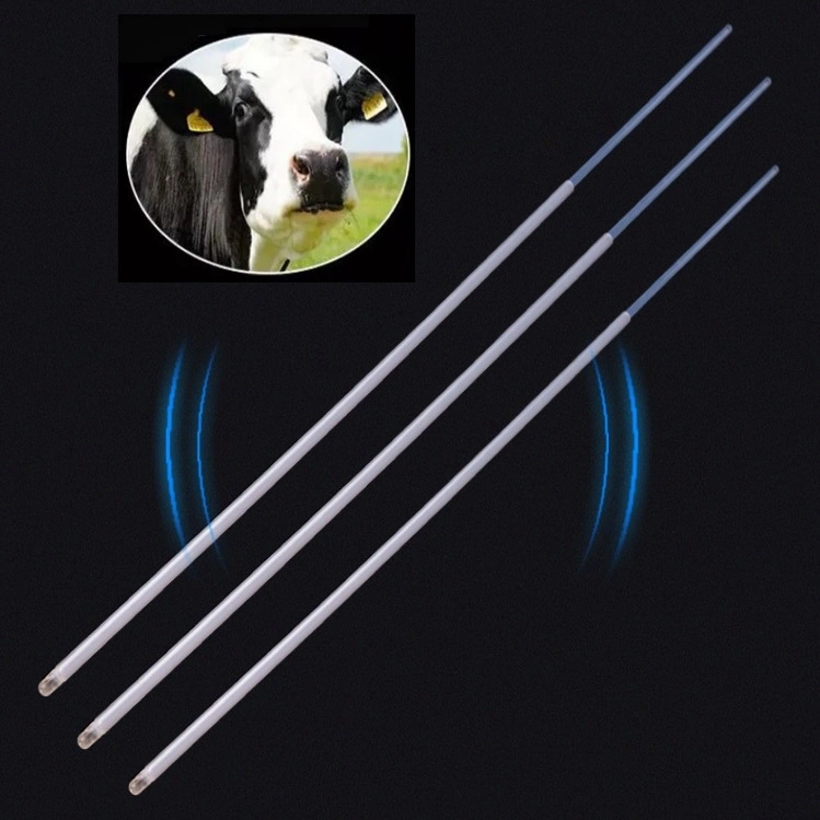 Instrumento veterinário útero Flush Pipete para tratamento de gado da China Preço baixo do fabricante