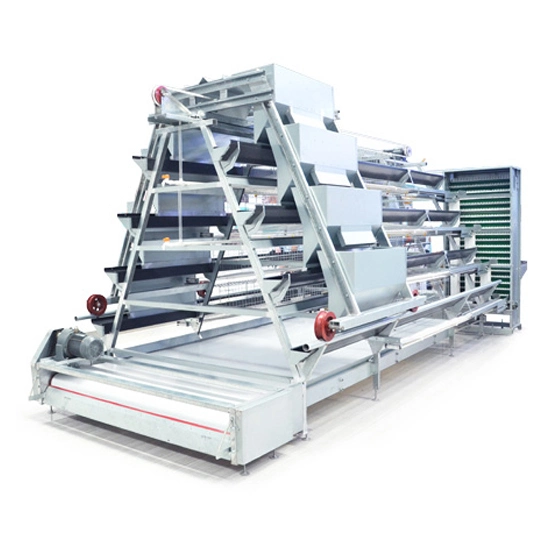 a Type Layer Chicken Cages with Automatic Poultry Farm Machinery