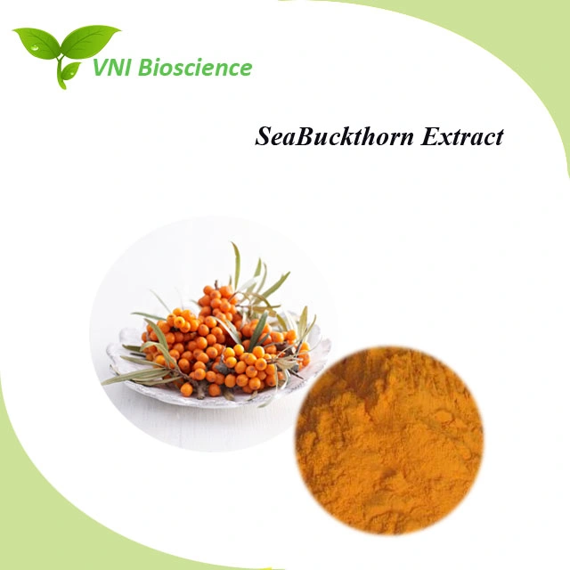 Kosher Certified Flavonoids Powder Sea Buckthorn Extract