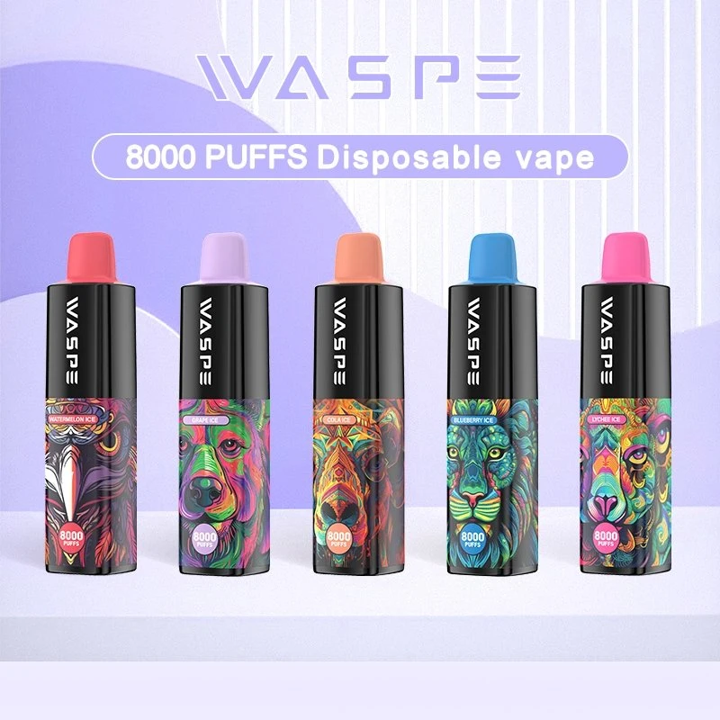 Zbood Waspe 8000 en gros en vrac E formes de coup liquide 6000 appareil de fumée de Vape perdue cigarette électronique jetable