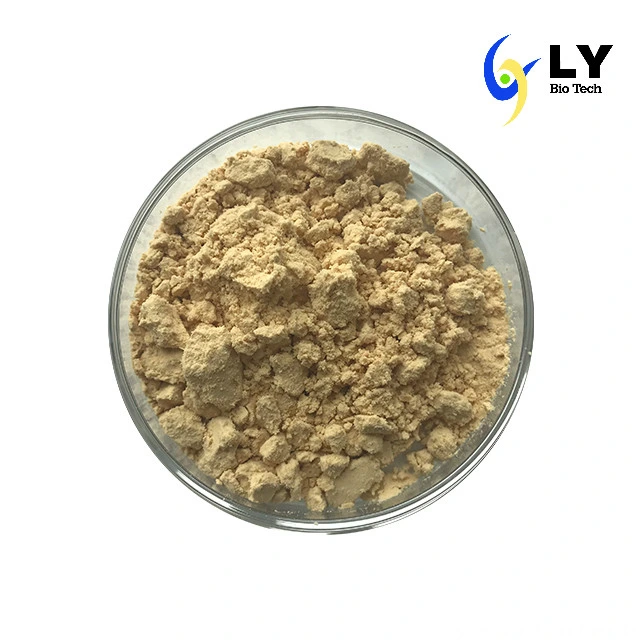 Factory Supply Top Quality Cassia Seed Extract