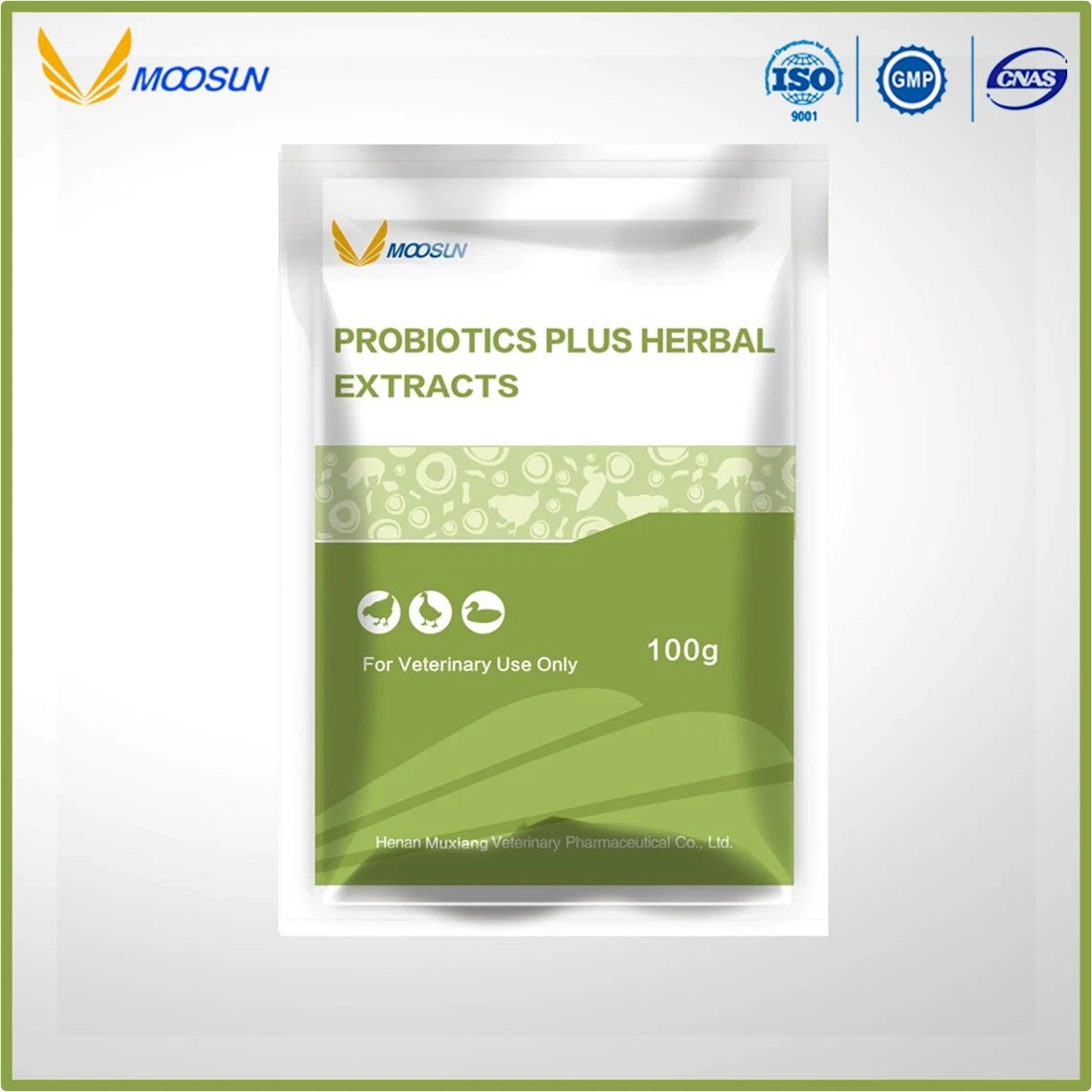 GMP Factory Feed Additives Multivitamins Plus Herbal Extracts for Animals Use with ISO