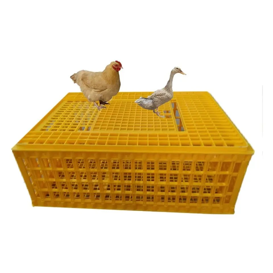 Best Selling Chicken/Broiler plástico Transporte Crate/Cage/Box