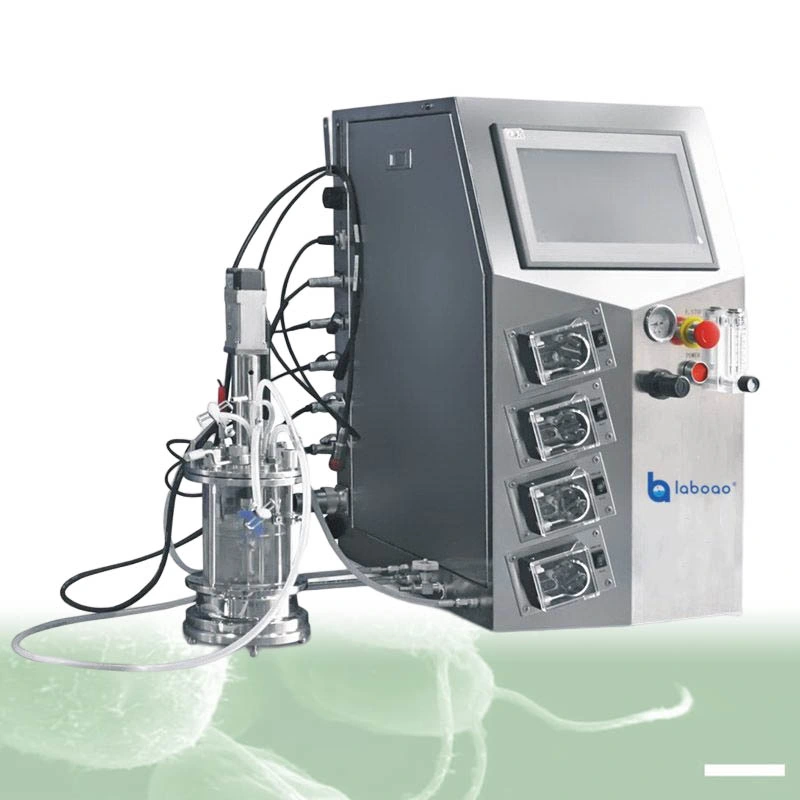 Laboao Automated Cell Screening 0.1L 1L Mini Fermenter Glass Bioreactor